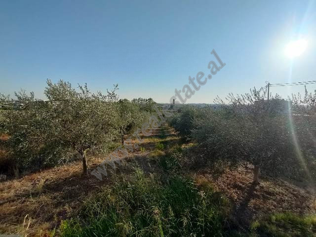 Land for sale in Shkalle village, in Durres city.
It has a surface of 4000m2 and has the status as 